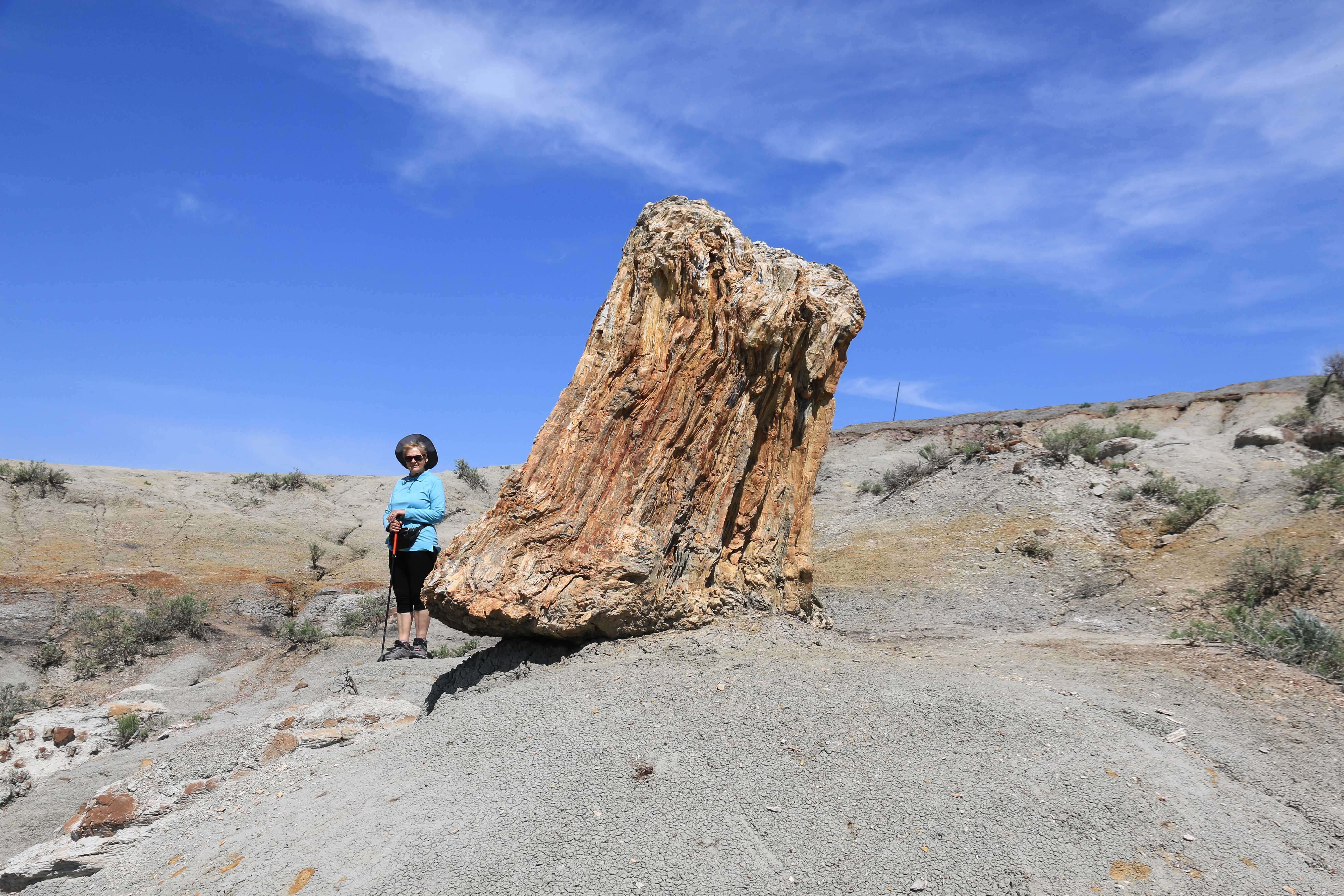 Theodore Roosevelt NP